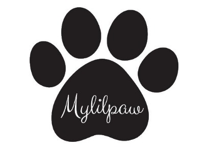Buy Dogs in Bangalore - Mylilpaw Buy Dogs in Bangalore - Mylilpaw